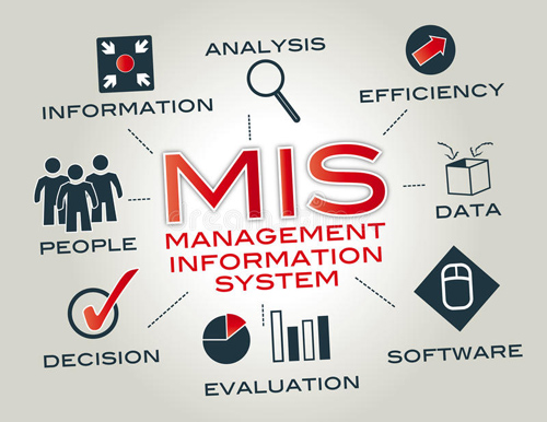 Course: Management Information System